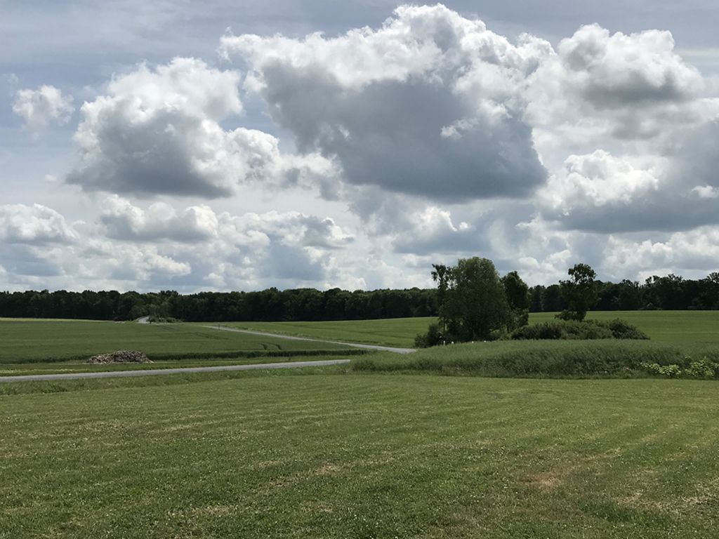 The view from Croix Rouge Farm looking south. The Iowa regiment (168th Infantry) approached the battle from the woods on the horizon in this photo.